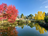 Parc