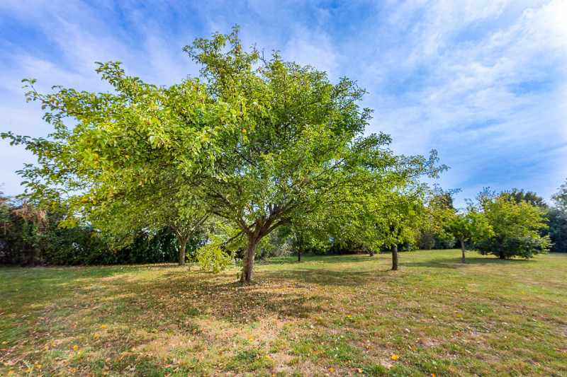 B&B Angers Parc Expos