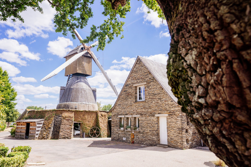 Domaine du Moulin Cavier - © Anjou tourisme Domaine du Moulin Cavier