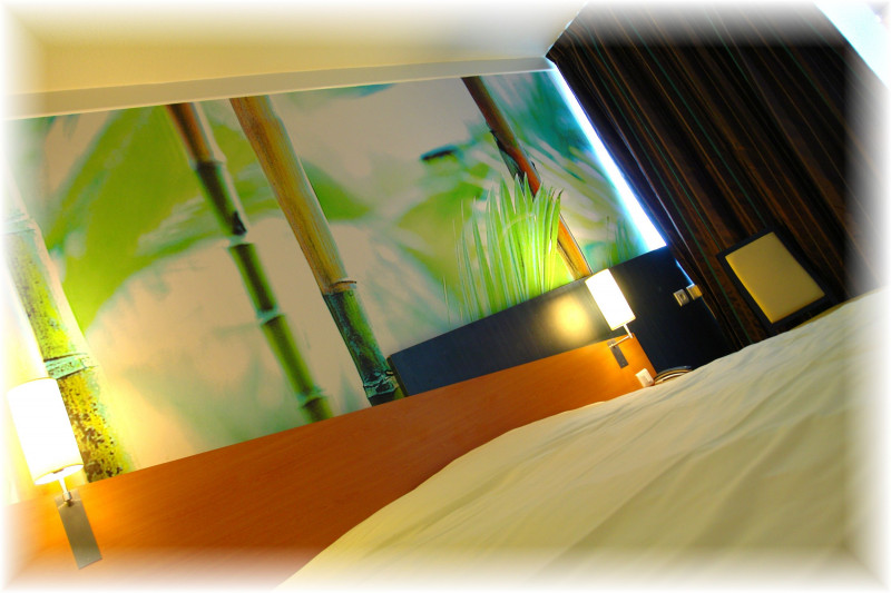 Ibis Styles Angers Centre Gare - © Ibis Styles Angers Centre Gare - snc inn 49 Ibis Styles Angers Centre Gare